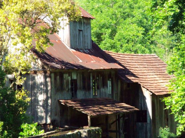 14.Brazil - South Nov-Dec 2008 - 084