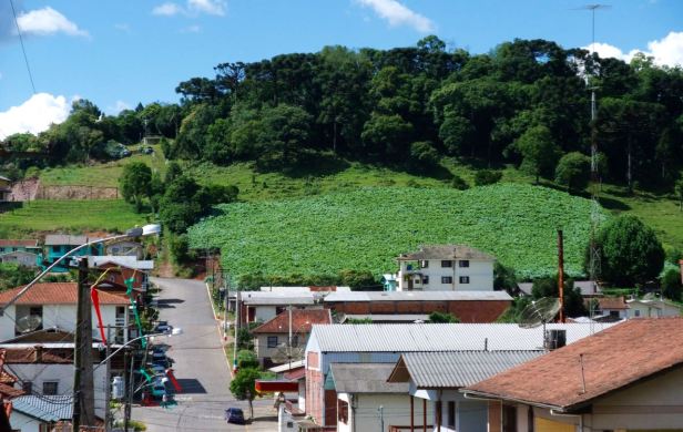 Brazil - South Nov-Dec 2008 - 127